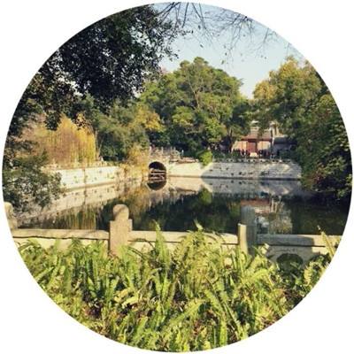 九天仙梦bt版下载